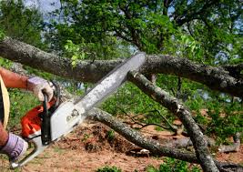 Best Weed Control  in Hanceville, AL