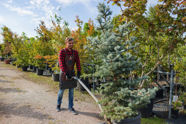 Best Organic Lawn Care Solutions  in Hanceville, AL